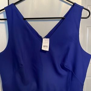 Brand new excellent conditions